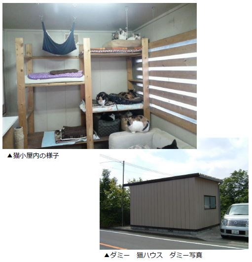 I様邸猫小屋 屋根ガイナ塗装